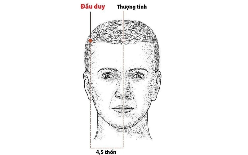 Huyệt Đầu Duy