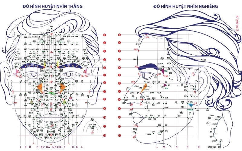 Sơ đồ các huyệt đạo trên khuôn mặt