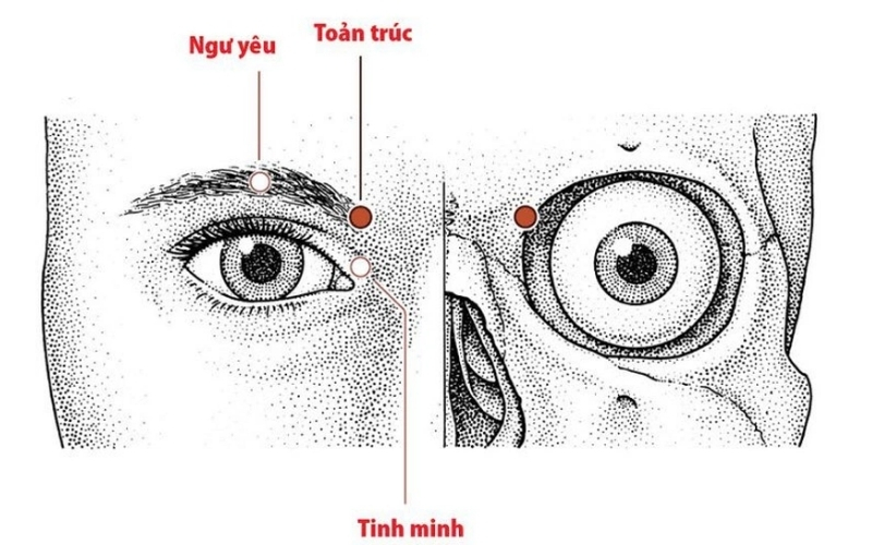 Huyệt Toản Trúc