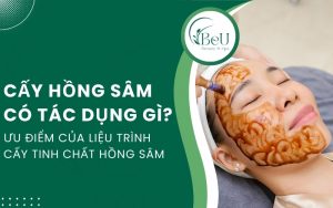 cấy hồng sâm có tác dụng gì