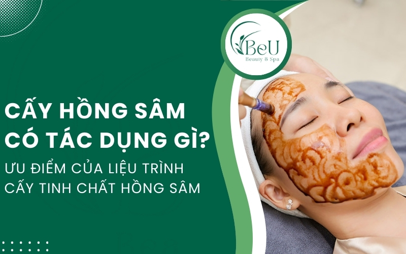 cấy hồng sâm có tác dụng gì