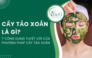 cấy tảo xoắn